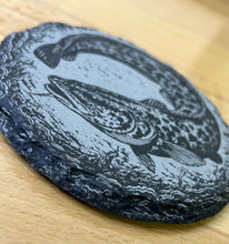 Load image into Gallery viewer, “Burbot”, Slate Coaster