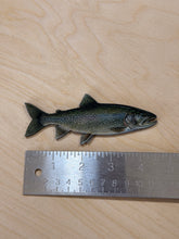 Load image into Gallery viewer, Lake Trout Fridge Magnet 2x5”