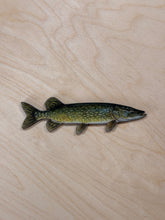 Load image into Gallery viewer, Northern Pike Fridge Magnet 1 1/2 x5”