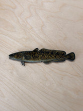 Load image into Gallery viewer, Burbot  Fridge Magnet 1 1/2 x5”
