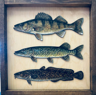 Wooden fish wall art with Walleye, Northern Pike, and Burbot.