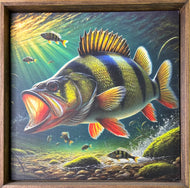 Yellow Perch art . Canvas print .