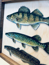 Load image into Gallery viewer, Wooden fish wall art with Walleye, Northern Pike, and Burbot.

