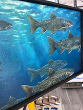 Load image into Gallery viewer, Lake trout art . Canvas print . Wood Sign 36.5x12.6 inch
