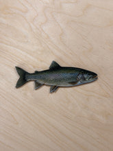 Load image into Gallery viewer, Lake Trout Fridge Magnet 2x5”
