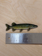 Load image into Gallery viewer, Northern Pike Fridge Magnet 1 1/2 x5”
